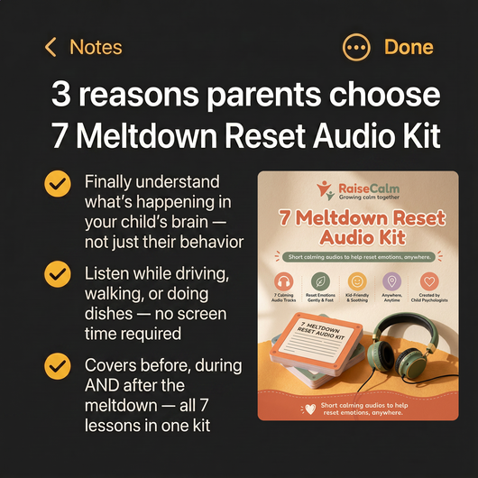 7 Meltdown Reset Audio Kit